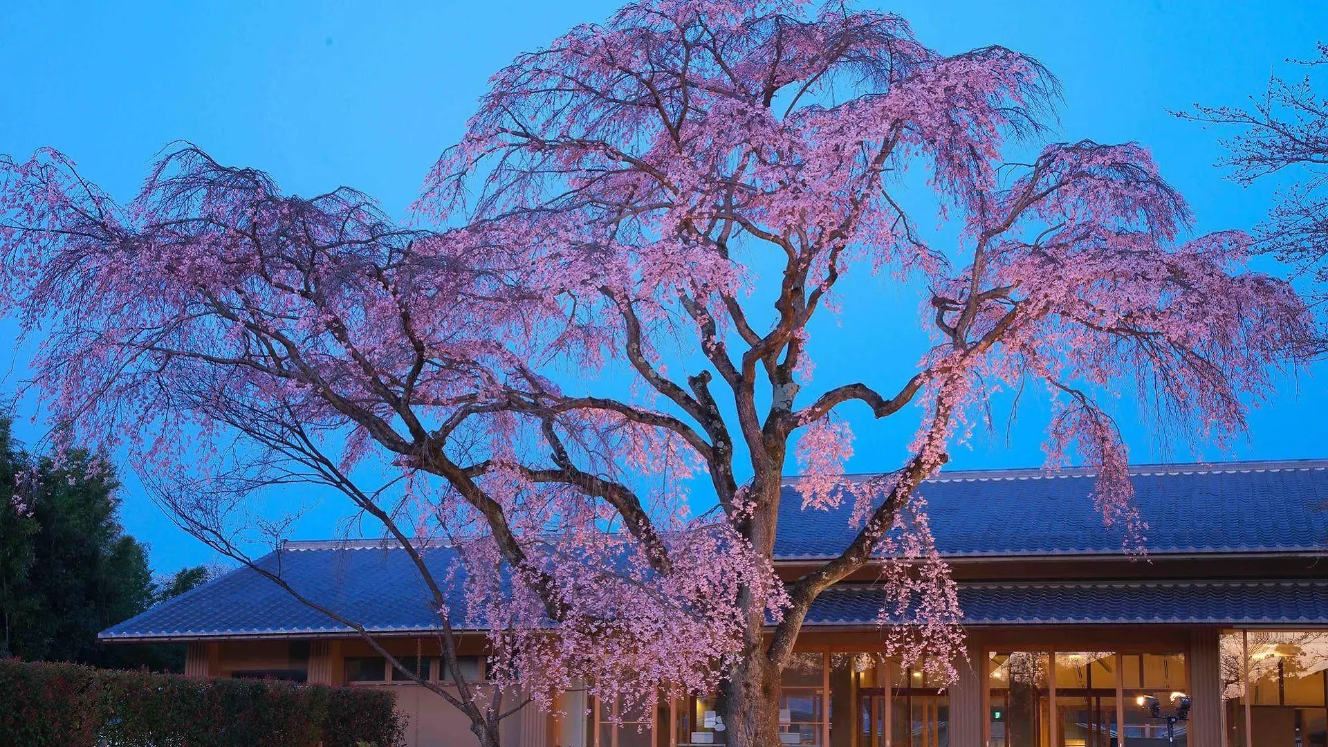 Kyoto Utano Youth Hostel